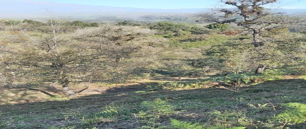 Foto de terreno habitacional en venta en  , coatepec centro, coatepec, veracruz de ignacio de la llave, 30879495 No. 04