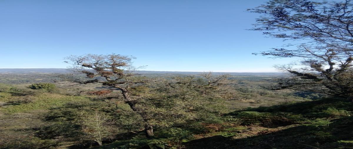 Foto de terreno habitacional en venta en  , coatepec centro, coatepec, veracruz de ignacio de la llave, 30879495 No. 05