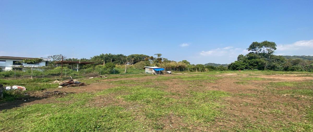 Foto de terreno habitacional en renta en  , coatepec centro, coatepec, veracruz de ignacio de la llave, 0 No. 04