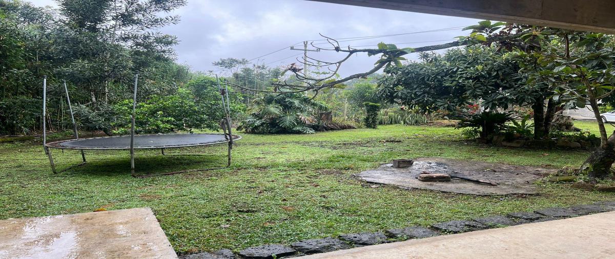 Foto de casa en venta en  , coatepec centro, coatepec, veracruz de ignacio de la llave, 0 No. 05