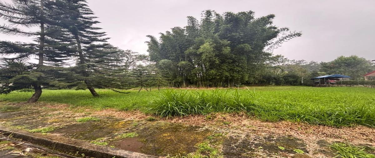 Foto de terreno habitacional en venta en  , coatepec centro, coatepec, veracruz de ignacio de la llave, 31113257 No. 05
