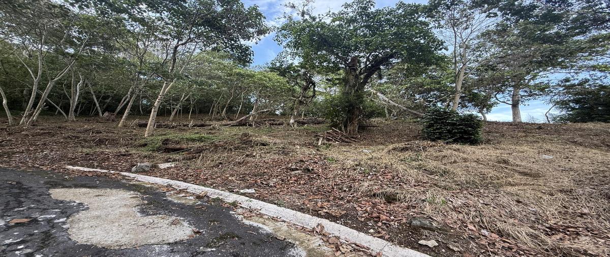 Foto de terreno habitacional en , coatepec centro, coatepec, veracruz de ignacio de la llave, 0 foto 02 Foto de terreno habitacional en venta en , coatepec centro, coatepec, veracruz de ignacio de la llave, 0 No. 02