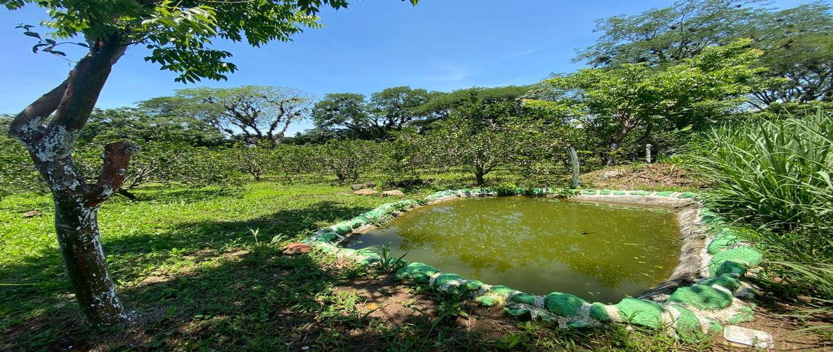 Foto de terreno habitacional en venta en  , coatepec centro, coatepec, veracruz de ignacio de la llave, 0 No. 04