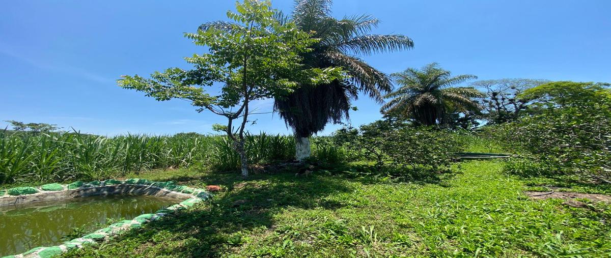 Foto de terreno habitacional en venta en  , coatepec centro, coatepec, veracruz de ignacio de la llave, 0 No. 05