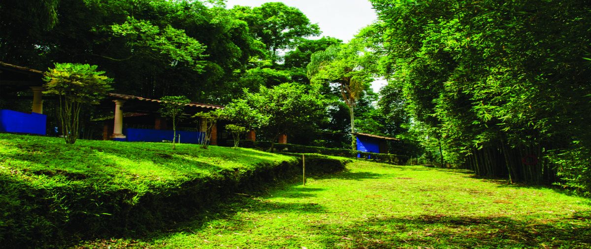 Foto de rancho en venta en  , coatepec centro, coatepec, veracruz de ignacio de la llave, 0 No. 03