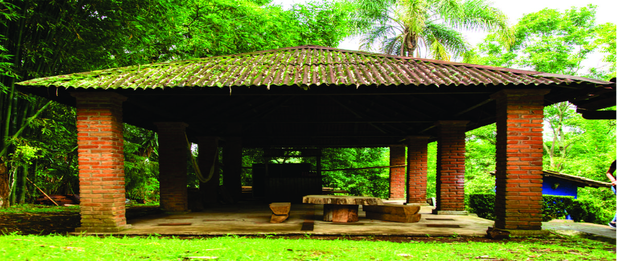 Foto de rancho en venta en  , coatepec centro, coatepec, veracruz de ignacio de la llave, 0 No. 04