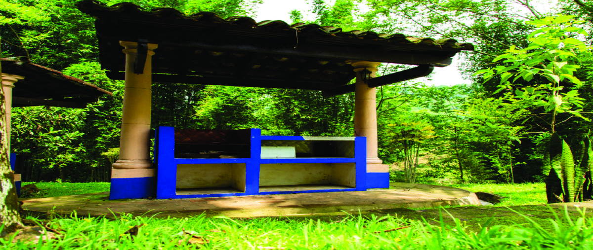 Foto de rancho en venta en  , coatepec centro, coatepec, veracruz de ignacio de la llave, 0 No. 05