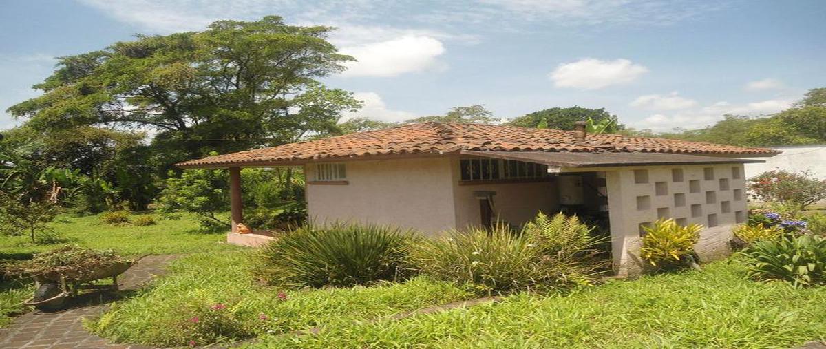 Foto de terreno habitacional en venta en  , coatepec centro, coatepec, veracruz de ignacio de la llave, 6697201 No. 03