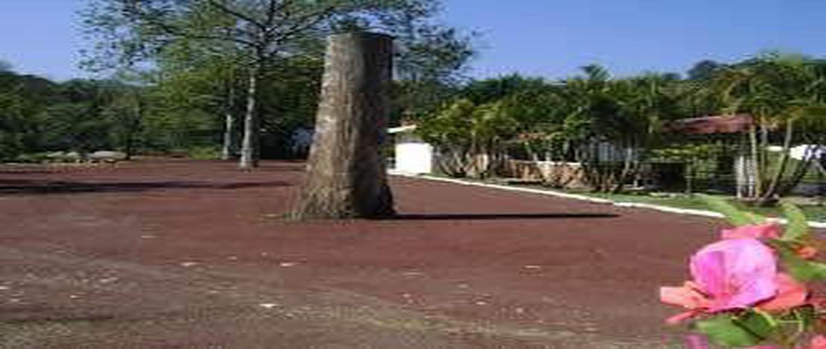 Foto de terreno habitacional en venta en  , coatepec centro, coatepec, veracruz de ignacio de la llave, 6697626 No. 03