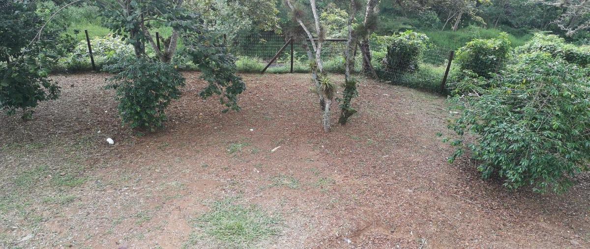 Foto de terreno habitacional en venta en  , coatepec centro, coatepec, veracruz de ignacio de la llave, 7010832 No. 04