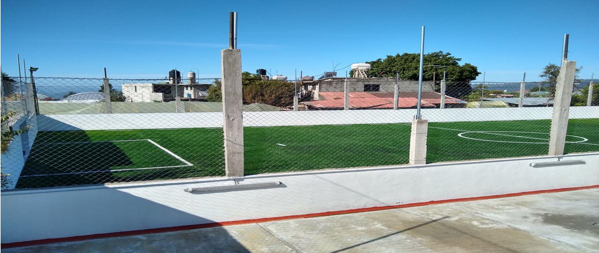 Foto de terreno habitacional en venta en  , coatepec harinas, coatepec harinas, méxico, 0 No. 04