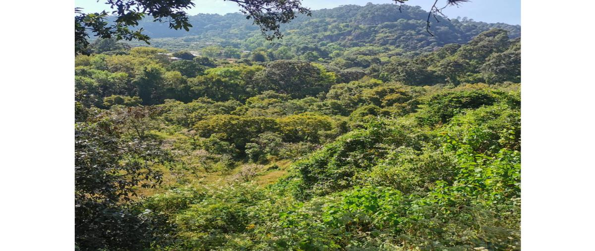 Foto de rancho en venta en  , coatepec harinas, coatepec harinas, méxico, 25919723 No. 03
