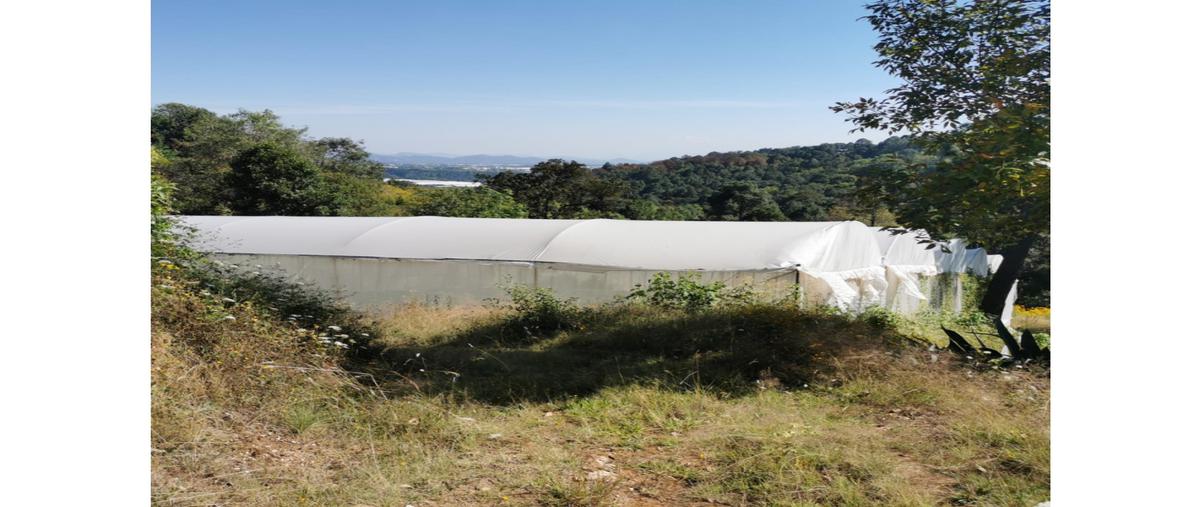 Foto de rancho en venta en  , coatepec harinas, coatepec harinas, méxico, 25919723 No. 04