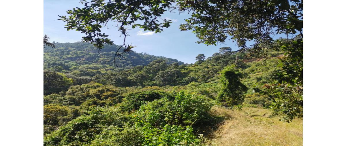 Foto de rancho en venta en  , coatepec harinas, coatepec harinas, méxico, 0 No. 05