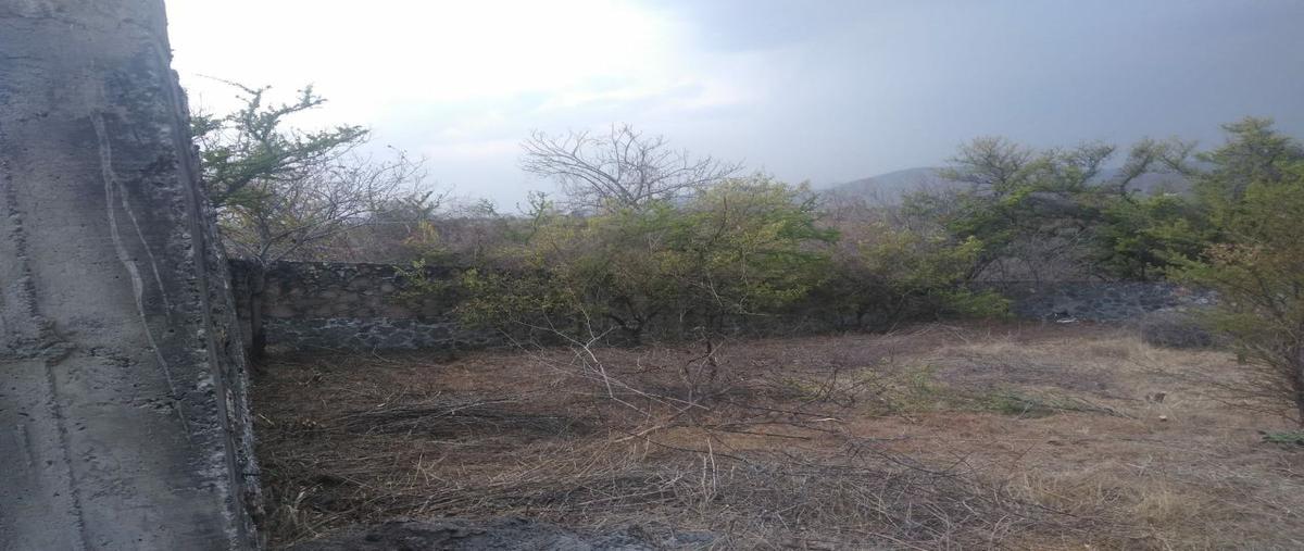 Foto de terreno habitacional en venta en coatetelco, miacatlán, morelos , coatetelco, miacatlán, morelos, 0 No. 04