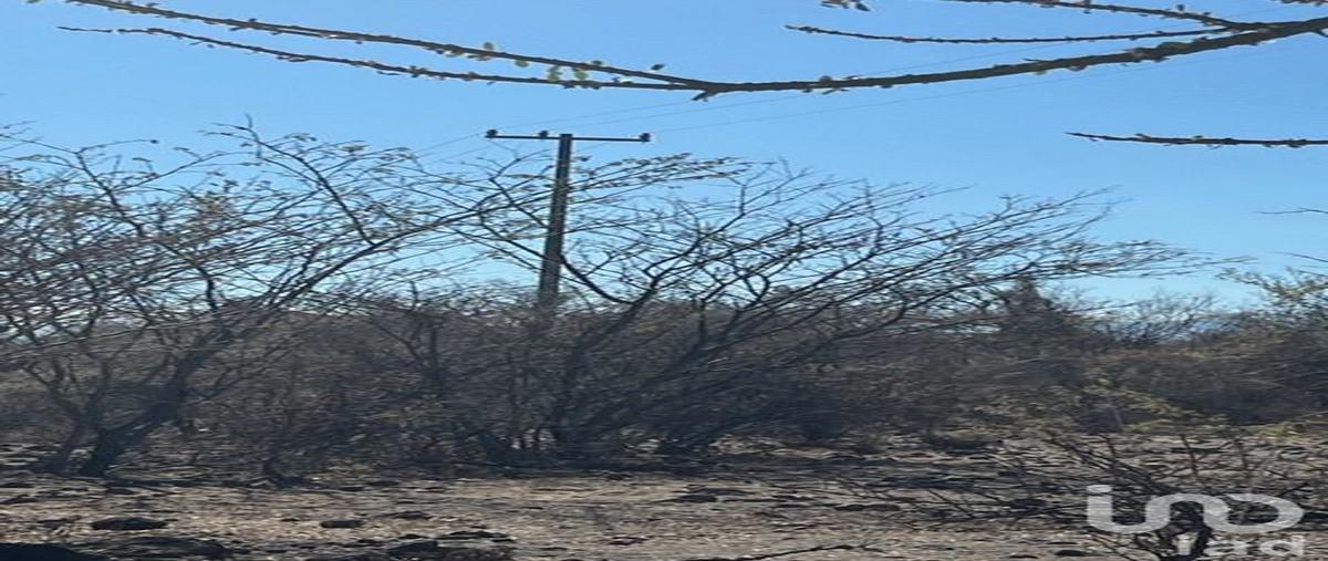 Foto de terreno habitacional en venta en coatlán del río, tetecala, y mazatepec , contlalco, tetecala, morelos, 0 No. 04