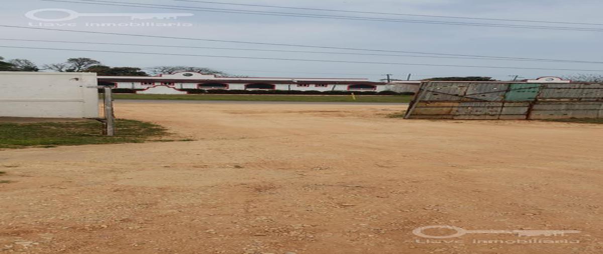 Foto de bodega en , coatzacoalcos, coatzacoalcos, veracruz de ignacio de la llave, 0 foto 05 Foto de bodega en renta en , coatzacoalcos, coatzacoalcos, veracruz de ignacio de la llave, 0 No. 05