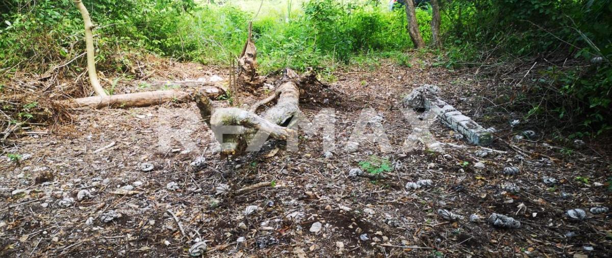 Foto de terreno habitacional en venta en cobá , coba, tulum, quintana roo, 0 No. 04