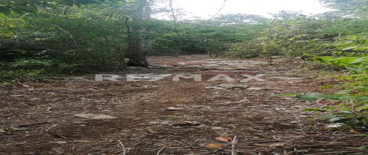 Foto de terreno habitacional en venta en cobá , coba, tulum, quintana roo, 0 No. 05