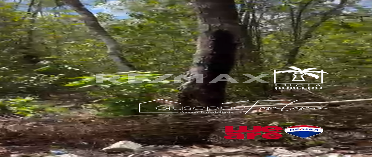 Foto de terreno habitacional en venta en coba , manuel antonio ay, tulum, quintana roo, 0 No. 03