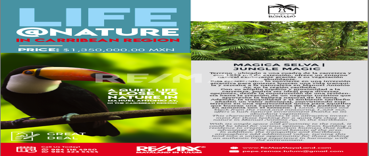 Foto de terreno habitacional en venta en coba , manuel antonio ay, tulum, quintana roo, 28172961 No. 04