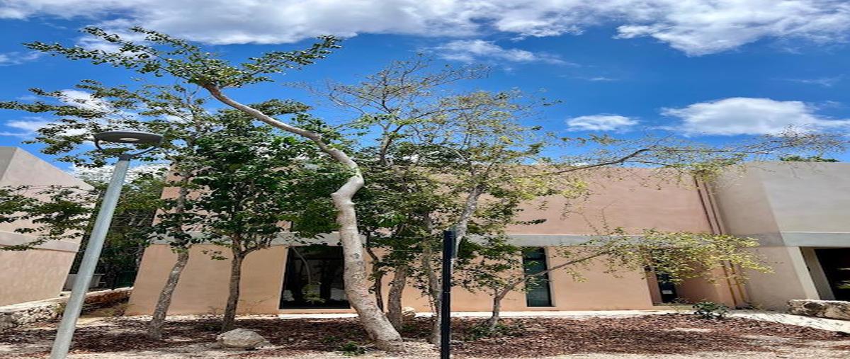 Foto de casa en , coba, tulum, quintana roo, 27414503 foto 01 Foto de casa en venta en , coba, tulum, quintana roo, 27414503 No. 01