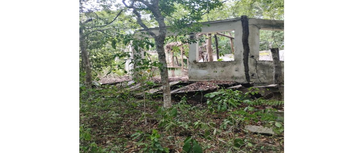 Foto de terreno habitacional en venta en  , coba, tulum, quintana roo, 0 No. 04