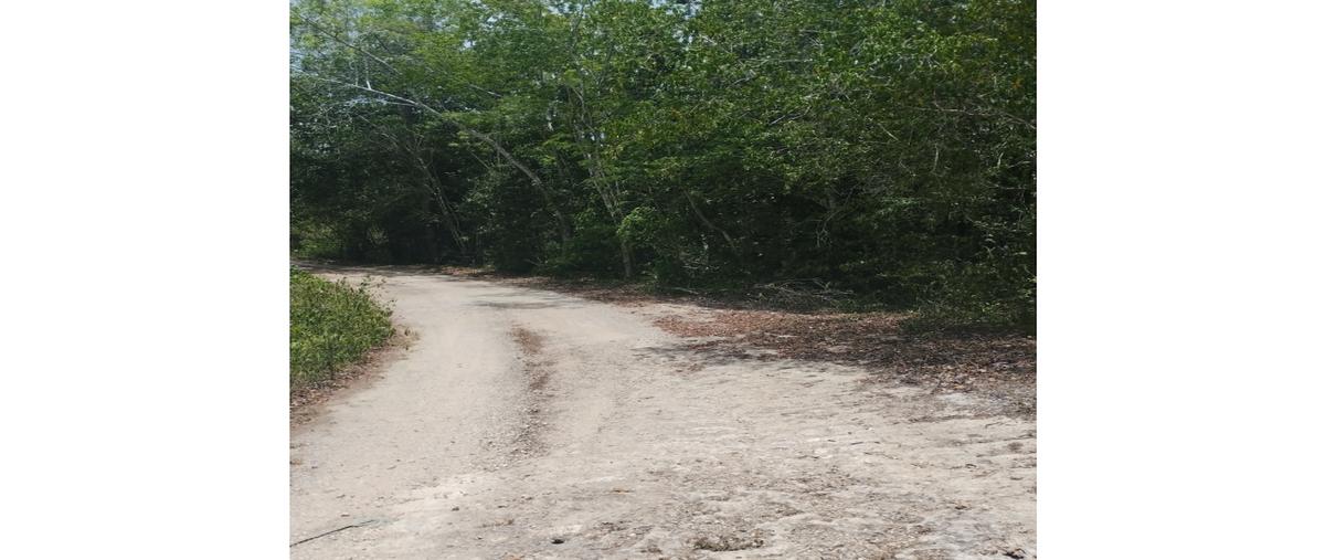Foto de terreno habitacional en venta en  , coba, tulum, quintana roo, 0 No. 05