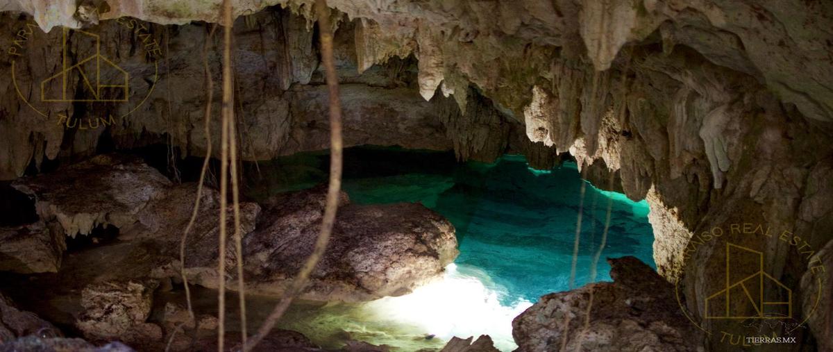 Foto de terreno habitacional en venta en  , coba, tulum, quintana roo, 29313179 No. 03