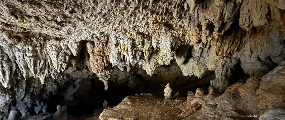 Foto de terreno habitacional en venta en  , coba, tulum, quintana roo, 29313179 No. 04