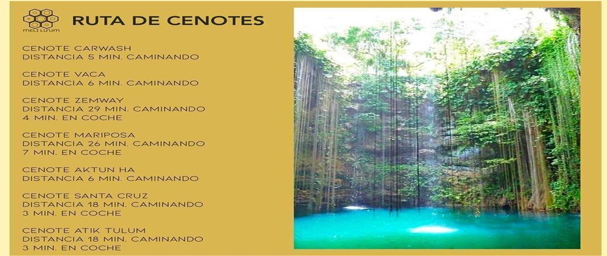 Foto de terreno habitacional en venta en  , coba, tulum, quintana roo, 30137393 No. 05