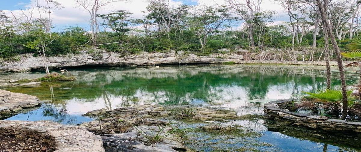 Foto de terreno habitacional en venta en  , coba, tulum, quintana roo, 30328408 No. 03