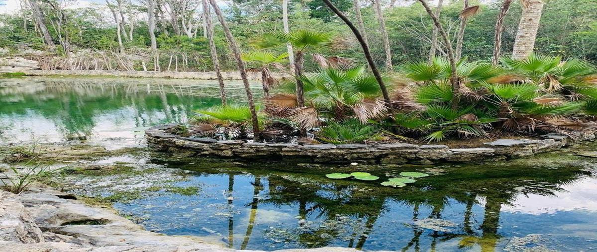 Foto de terreno habitacional en venta en  , coba, tulum, quintana roo, 30328408 No. 04