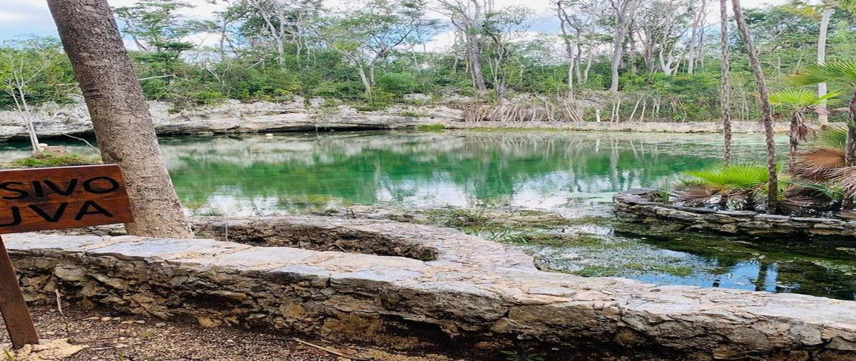 Foto de terreno habitacional en venta en  , coba, tulum, quintana roo, 30328408 No. 05