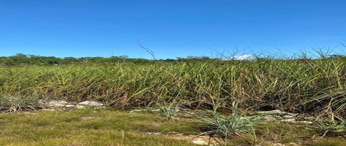 Foto de terreno habitacional en venta en  , coba, tulum, quintana roo, 0 No. 03