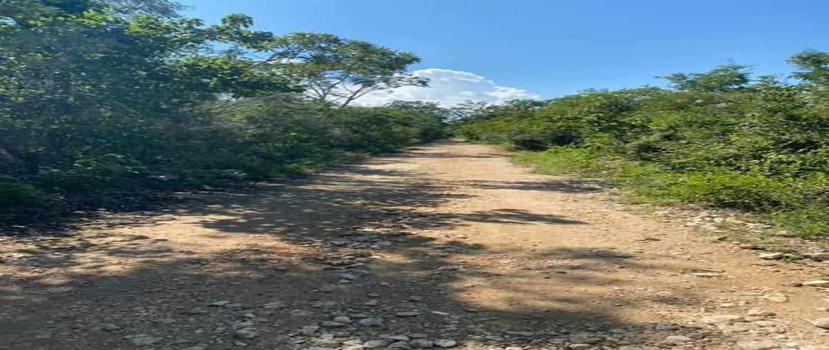 Foto de terreno habitacional en venta en  , coba, tulum, quintana roo, 0 No. 04