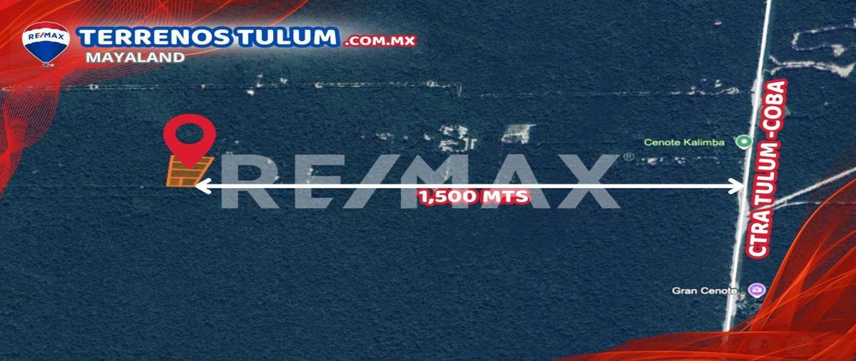 Foto de terreno habitacional en venta en coba - tulum , tulum centro, tulum, quintana roo, 0 No. 03