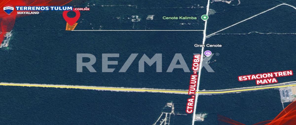 Foto de terreno habitacional en venta en coba - tulum , tulum centro, tulum, quintana roo, 0 No. 04