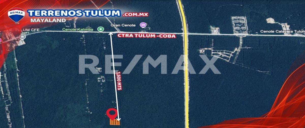 Foto de terreno habitacional en venta en coba - tulum , tulum centro, tulum, quintana roo, 0 No. 05
