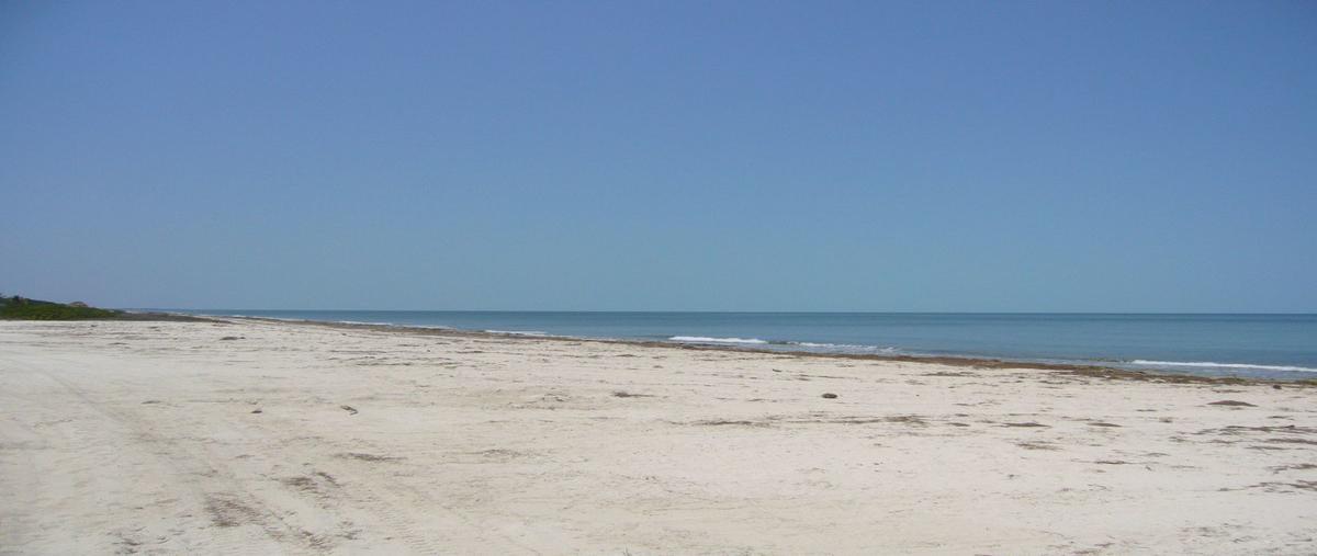 Foto de terreno habitacional en venta en  , cocal, champotón, campeche, 16170037 No. 02