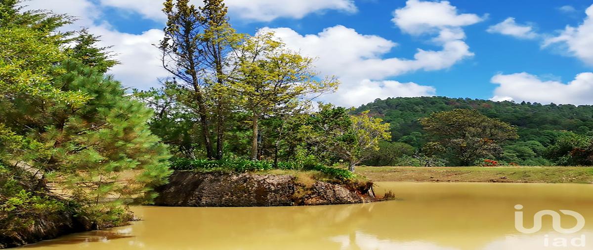 Foto de rancho en . , cochisquila, coatepec harinas, méxico, 0 foto 02 Foto de rancho en venta en . , cochisquila, coatepec harinas, méxico, 0 No. 02