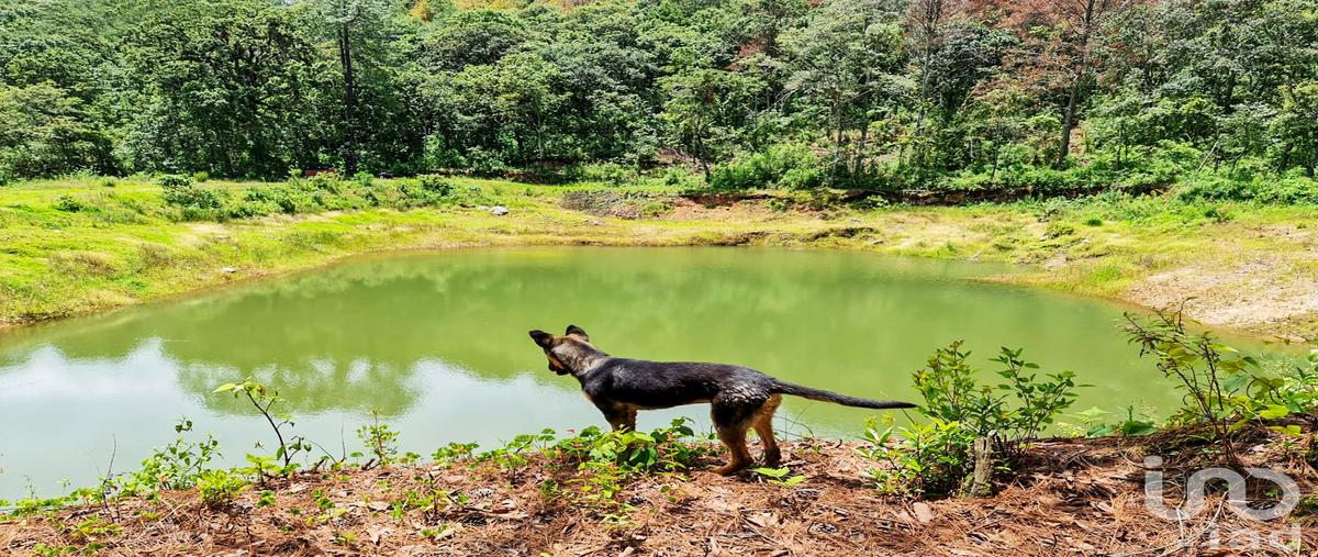 Foto de rancho en . , cochisquila, coatepec harinas, méxico, 0 foto 04 Foto de rancho en venta en . , cochisquila, coatepec harinas, méxico, 0 No. 04