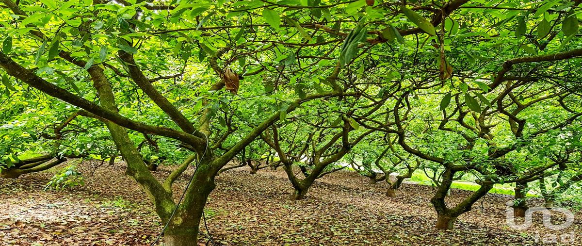 Foto de rancho en . , cochisquila, coatepec harinas, méxico, 0 foto 05 Foto de rancho en venta en . , cochisquila, coatepec harinas, méxico, 0 No. 05