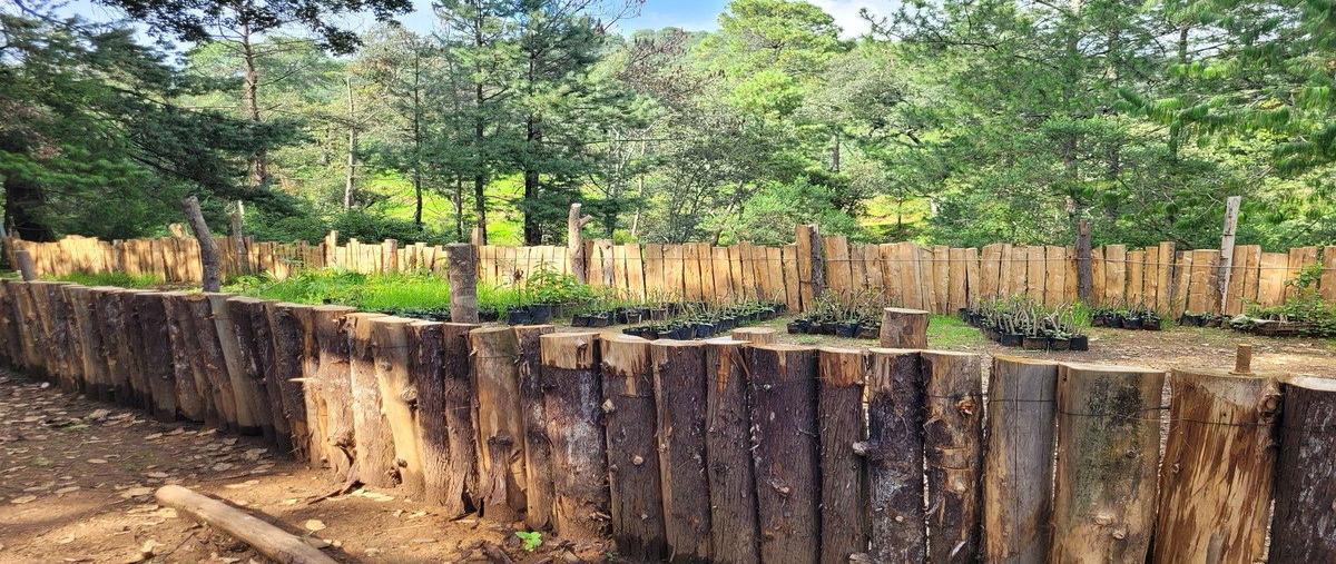 Foto de terreno habitacional en venta en  , cochisquila, coatepec harinas, méxico, 0 No. 03