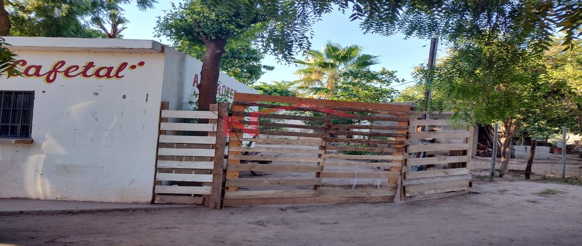 Foto de casa en cócorit 0, cocorit, cajeme, sonora, 30157329 foto 05 Foto de casa en venta en cócorit 0, cocorit, cajeme, sonora, 30157329 No. 05