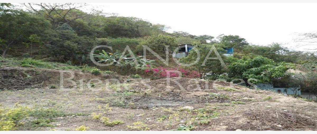 Foto de terreno habitacional en cocotero , el ranchito (el colesio), puerto vallarta, jalisco, 28205168 foto 02 Foto de terreno habitacional en venta en cocotero , el ranchito (el colesio), puerto vallarta, jalisco, 28205168 No. 02