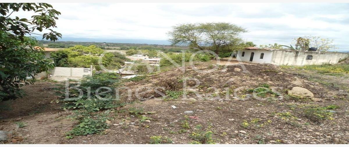 Foto de terreno habitacional en cocotero , el ranchito (el colesio), puerto vallarta, jalisco, 28205168 foto 03 Foto de terreno habitacional en venta en cocotero , el ranchito (el colesio), puerto vallarta, jalisco, 28205168 No. 03