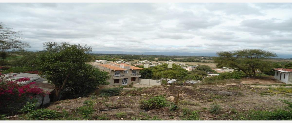 Foto de terreno habitacional en cocotero , el ranchito (el colesio), puerto vallarta, jalisco, 28205168 foto 04 Foto de terreno habitacional en venta en cocotero , el ranchito (el colesio), puerto vallarta, jalisco, 28205168 No. 04