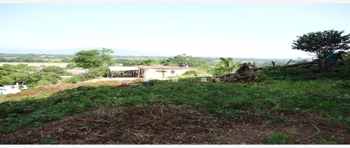 Foto de terreno habitacional en cocotero , el ranchito (el colesio), puerto vallarta, jalisco, 28205168 foto 05 Foto de terreno habitacional en venta en cocotero , el ranchito (el colesio), puerto vallarta, jalisco, 28205168 No. 05