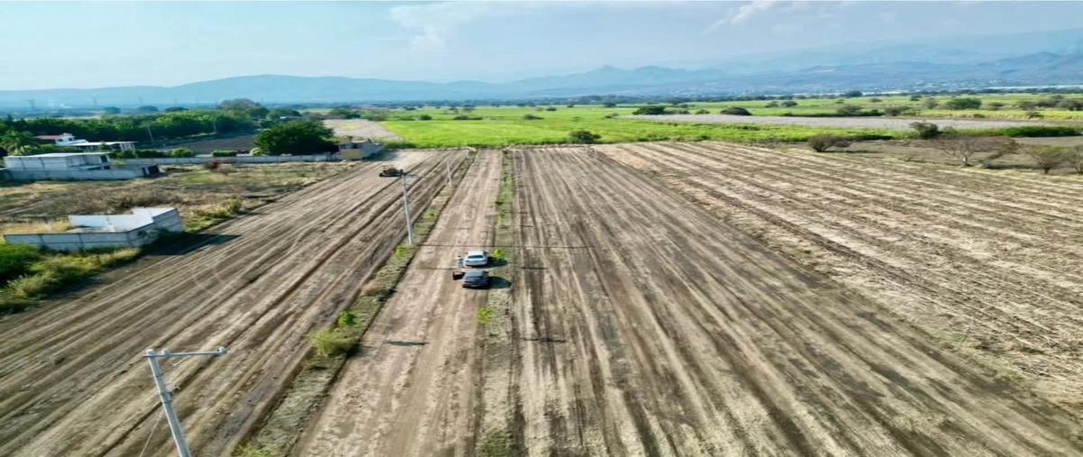 Foto de terreno habitacional en venta en  , cocoyoc, yautepec, morelos, 30219543 No. 03